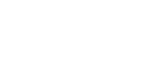 Undercover Miss Hong